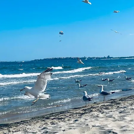 Apartamento Mint Casa Rossa Sunny Beach