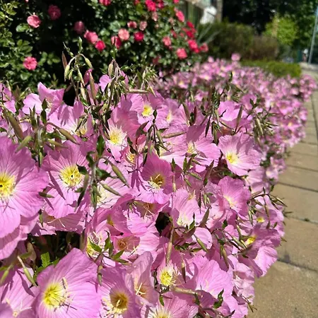 Mint Casa Rossa Διαμέρισμα Σάνι Μπιτς